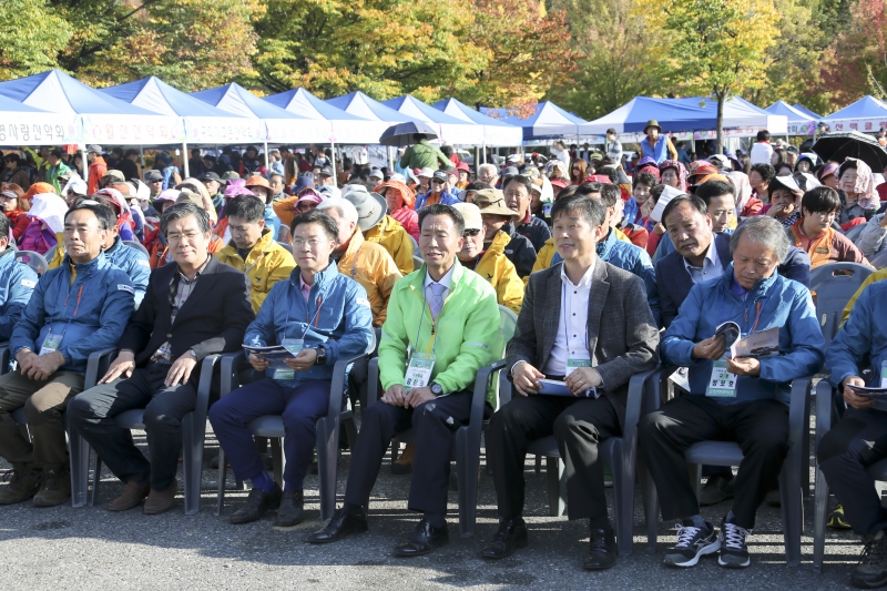 20151025-014[AP7U7775-제31회 구미시민 금오산악제.jpg