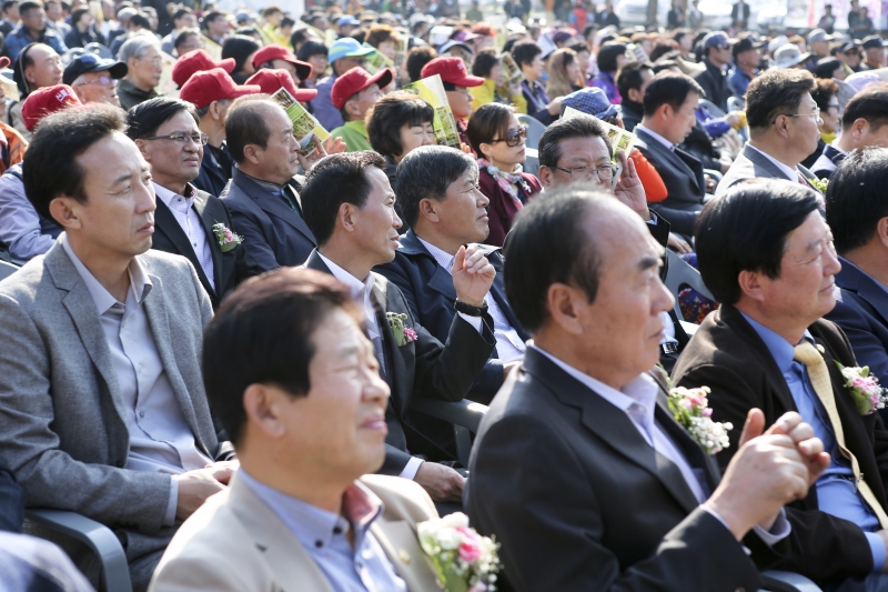 20151104-011[AP7U8809-일천만 그루 나무심기운동 달성 기념행사.jpg