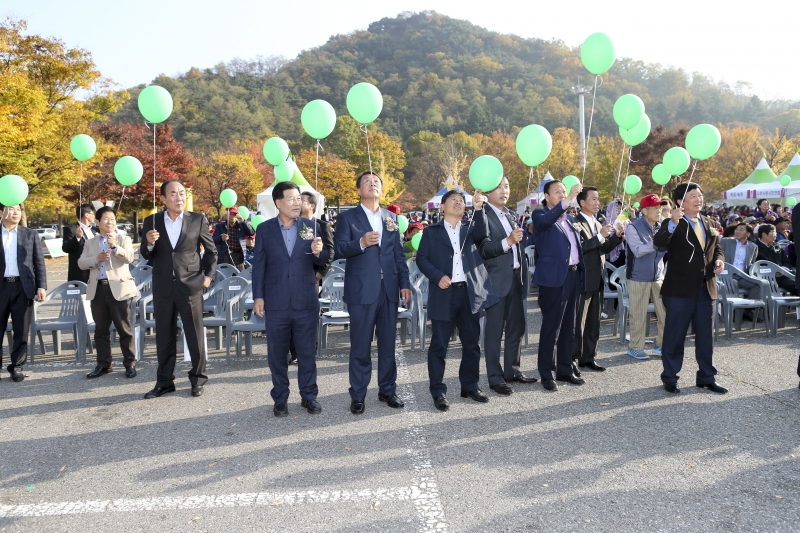 20151104-045[AP7U8871-일천만 그루 나무심기운동 달성 기념행사.jpg