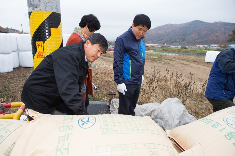 20151112-007[KMS_0120-2015년산 공공비축미 포대벼 첫매입.jpg
