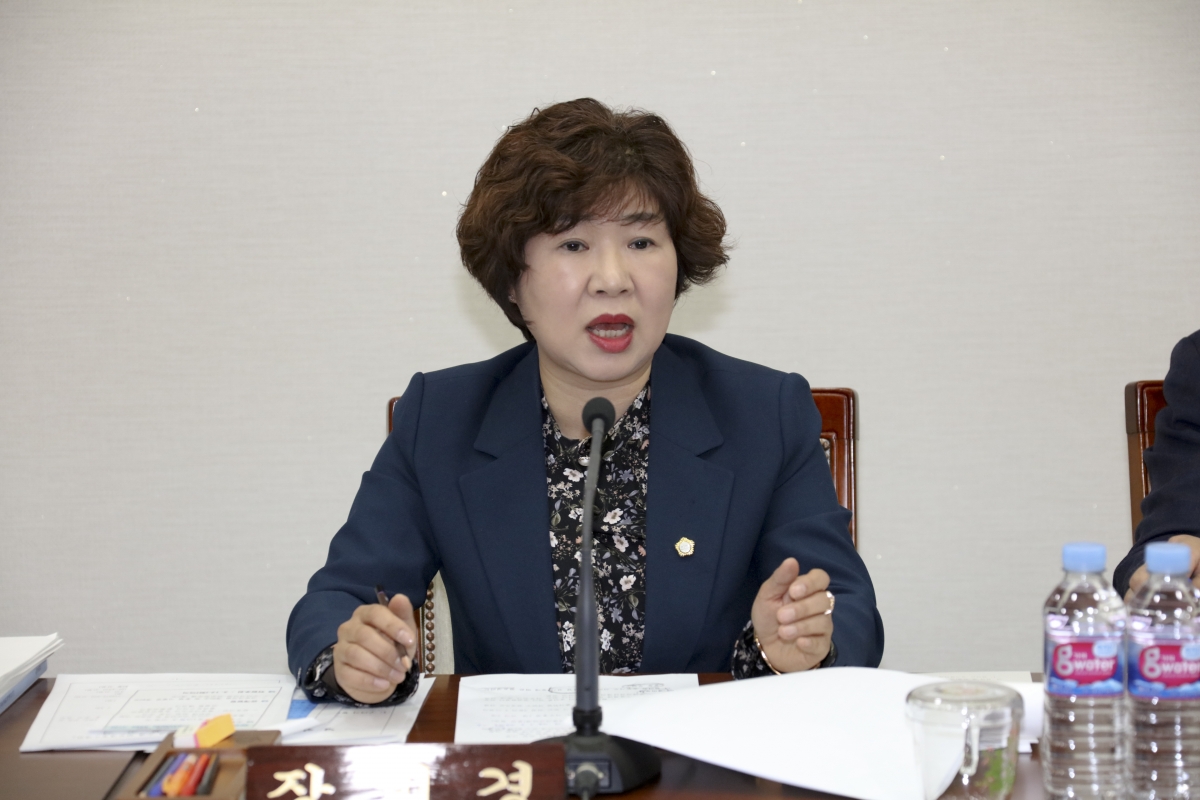 20190311-026[IMG_3380-제229회 임시회 기획행정위원회 조례안 심사활동.jpg