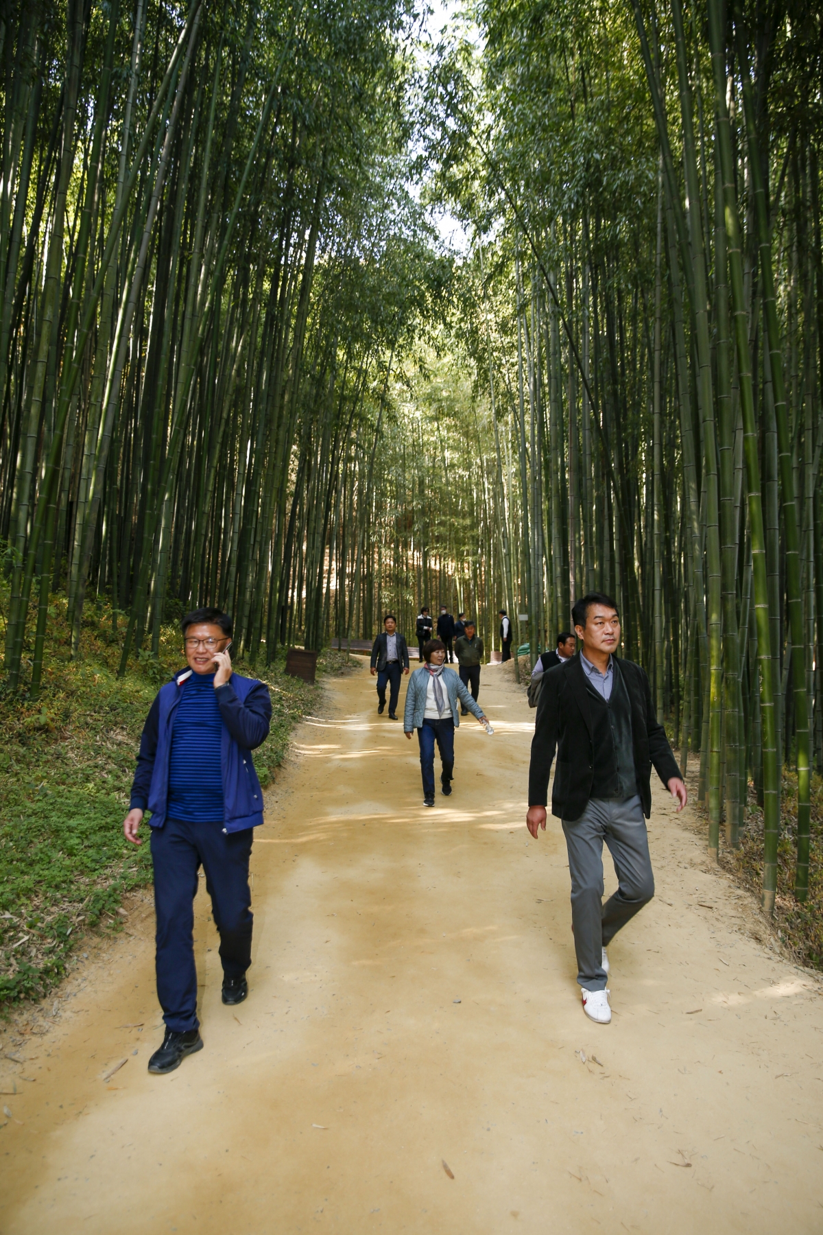 20221108-105[_P7U0720-1-폐회중 기획행정위원회 전남 담양군 죽녹원 비교견학.jpg