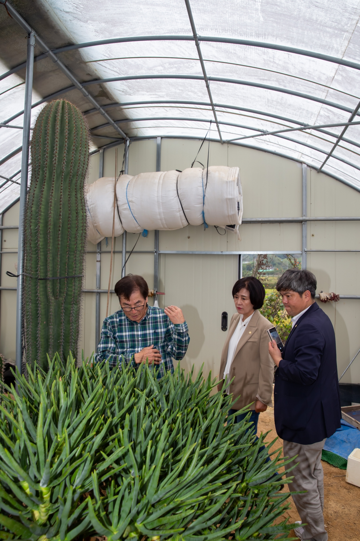 20241018-095[_P7U8999-제281회 임시회 산업건설위원회 선산읍 선인장 재배농가 현장방문.jpg