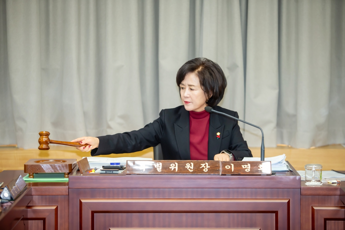 20241204-005[_P7U5667-제262회 정례회시 예산결산위원회 2025년도 예산안 및 기금운용계획안 심사활동.jpg