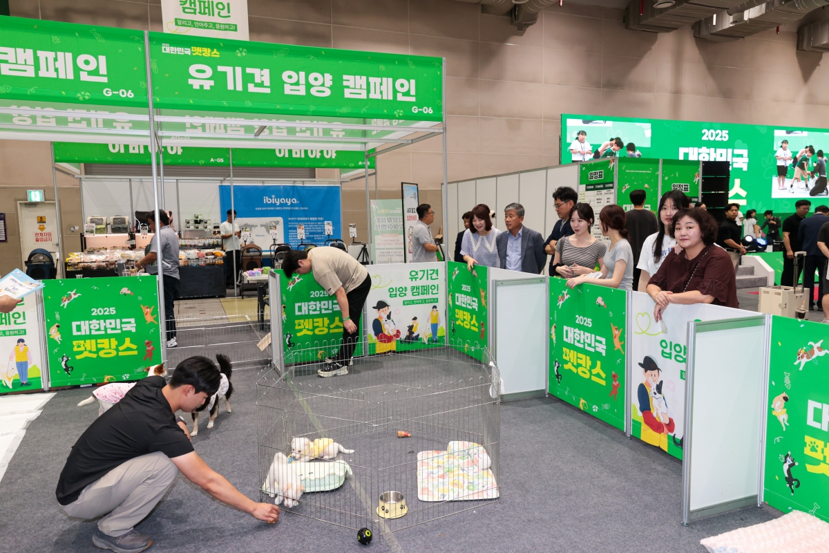 20250726-002[AMG_5122-1-대한민국 펫캉스.JPG