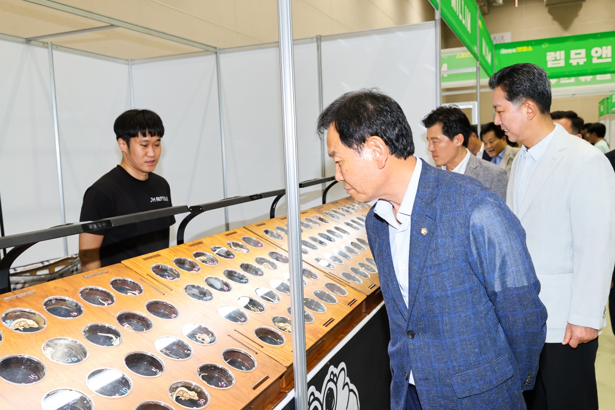 20250726-027[AMG_5200-1-대한민국 펫캉스.JPG