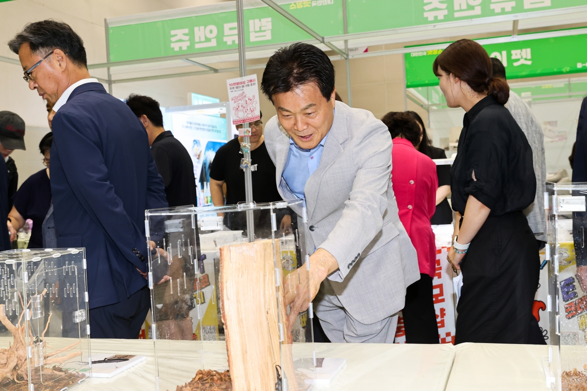 20250726-025[AMG_5197-1-대한민국 펫캉스.JPG