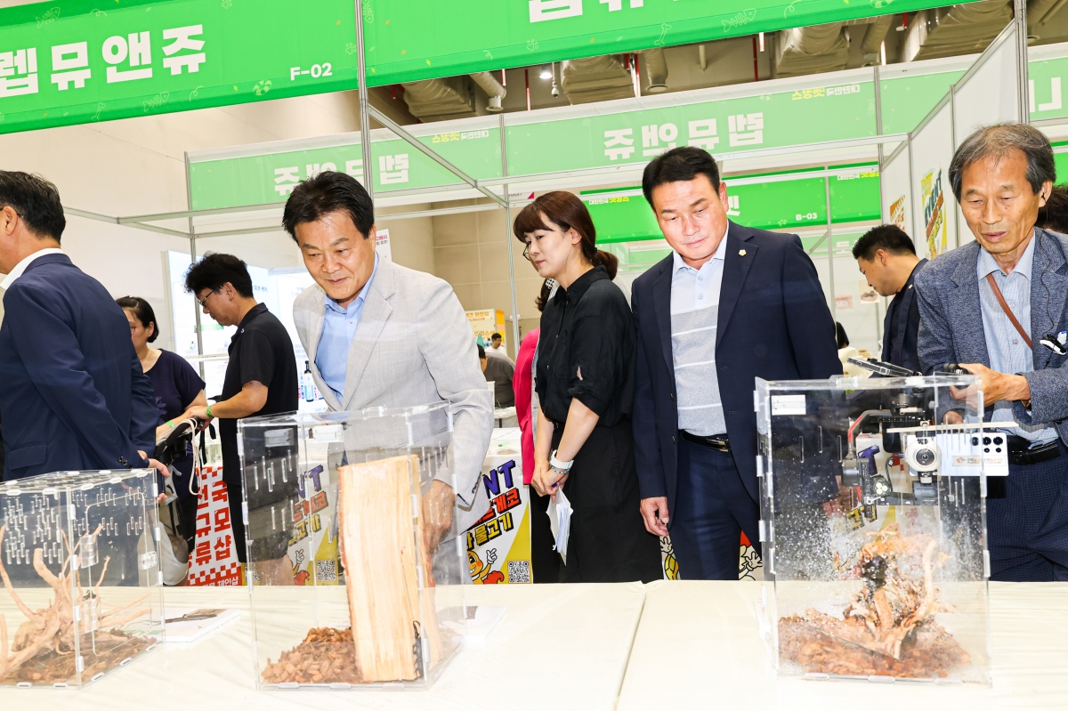 20250726-026[AMG_5198-1-대한민국 펫캉스.JPG