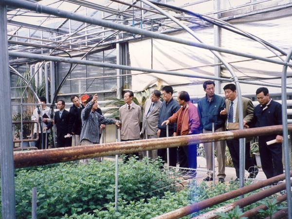 제78회 임시회시 선산읍 습례리 꽃재배 농가 방문