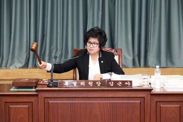 제209회 정례회 예산결산특별위원회 활동